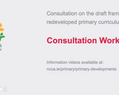 Assessment: Consultation workshop